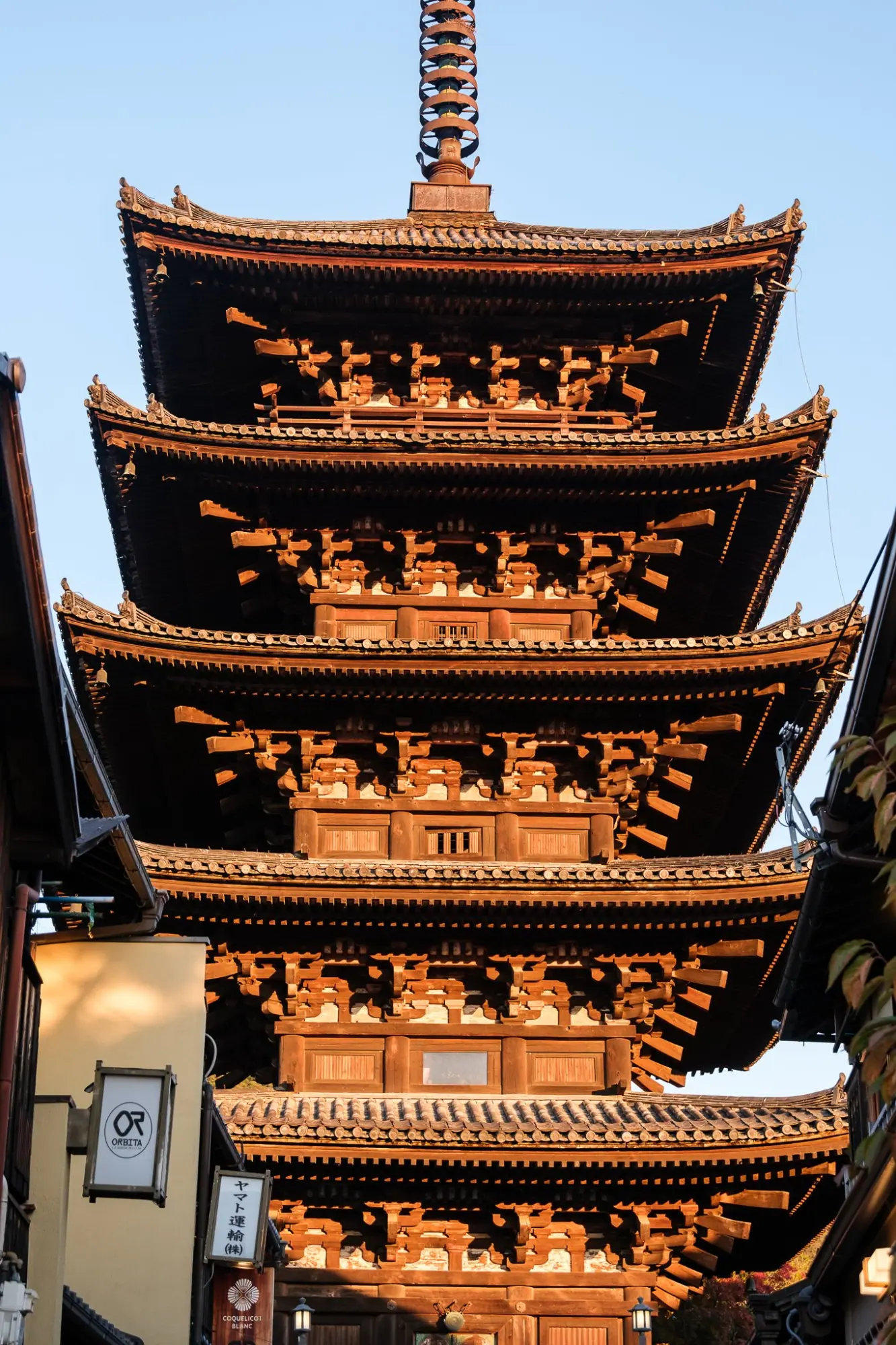 Photo from Hokan-ji Temple, Kyoto, Japan