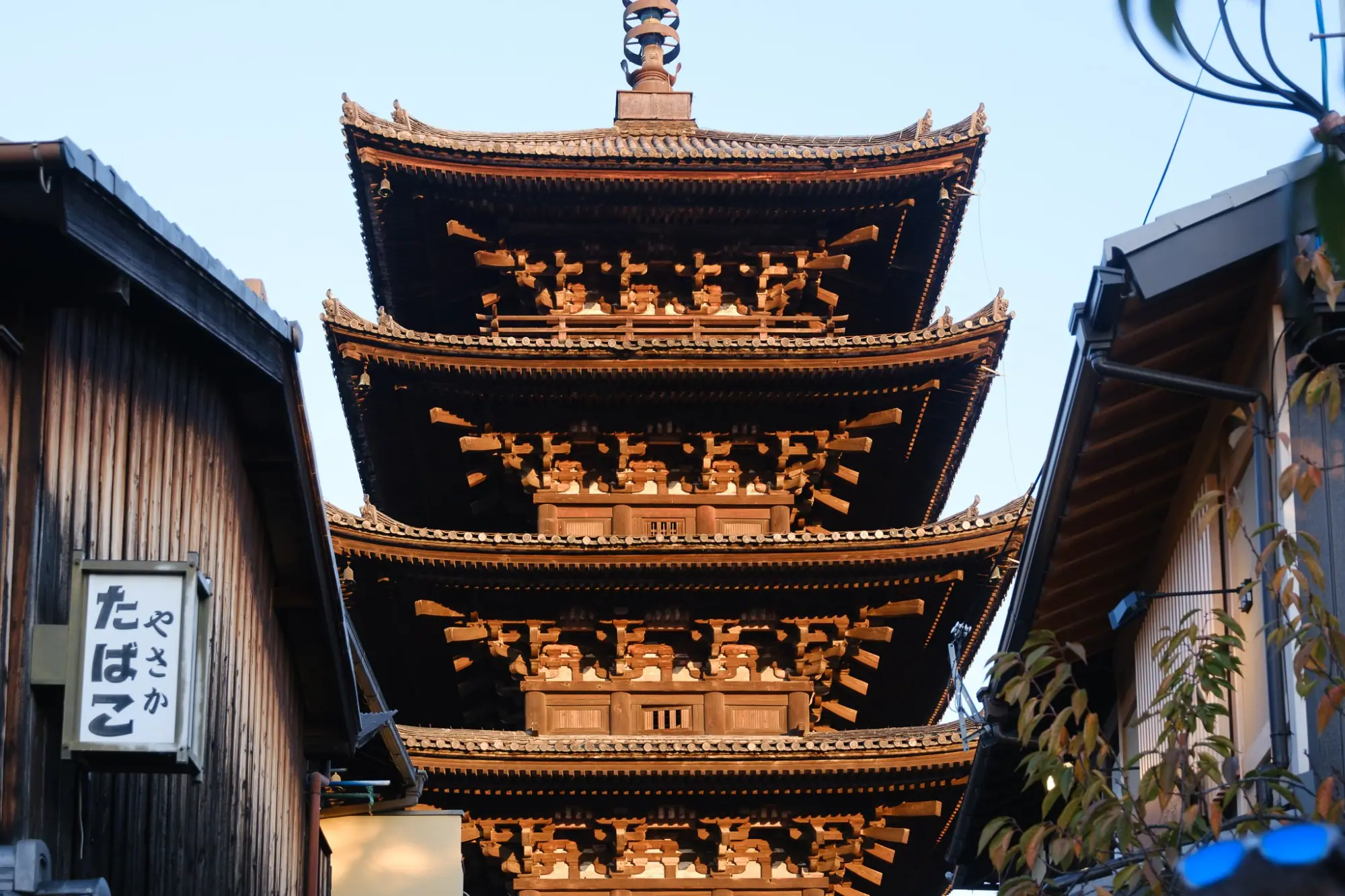 Photo from Hokan-ji Temple, Kyoto, Japan