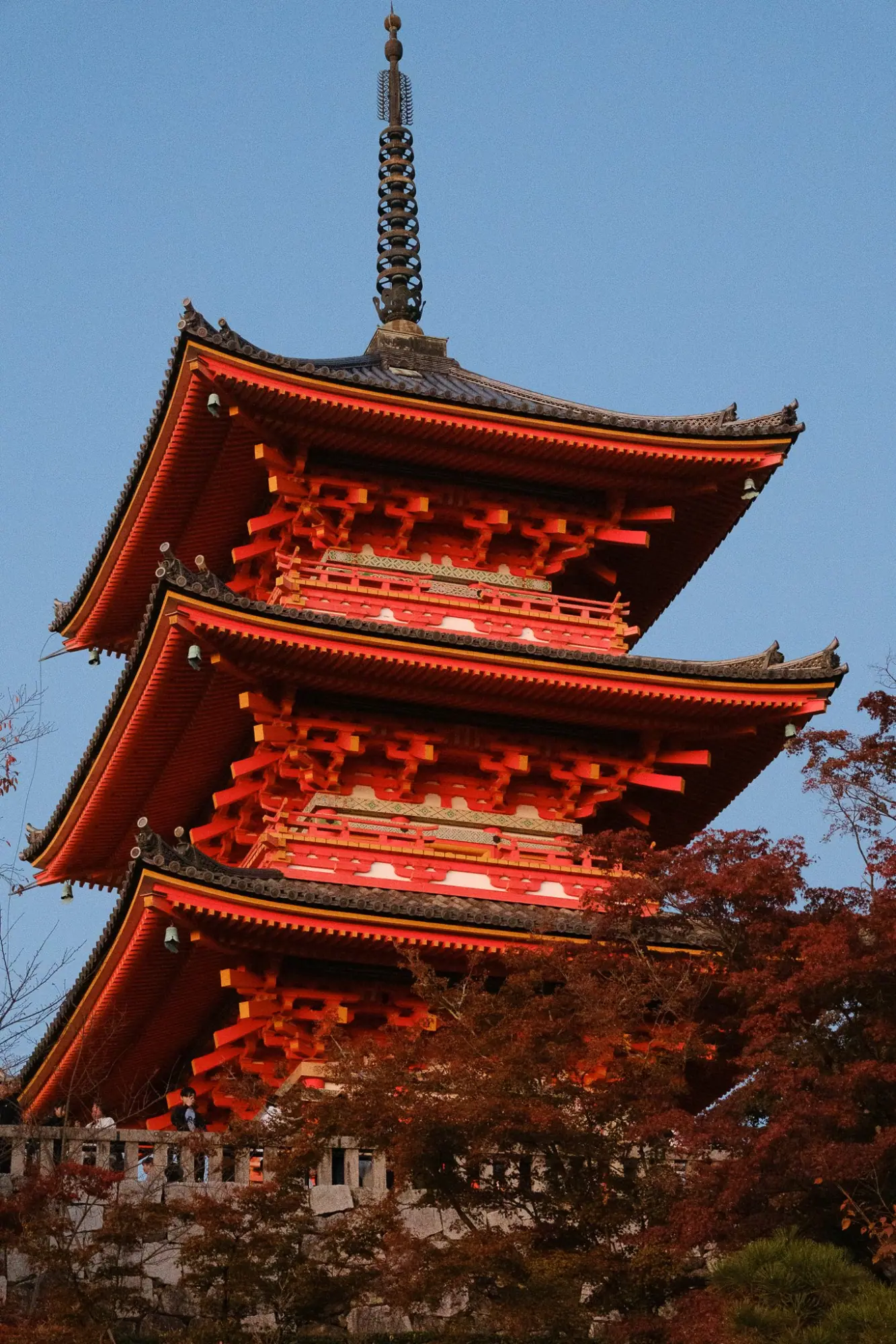 Photo from Kiyomizu-dera Temple Special Night Viewing, Kyoto, Japan
