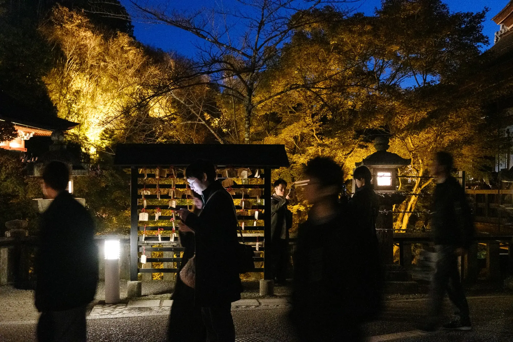 Photo from Kiyomizu-dera Temple Special Night Viewing, Kyoto, Japan