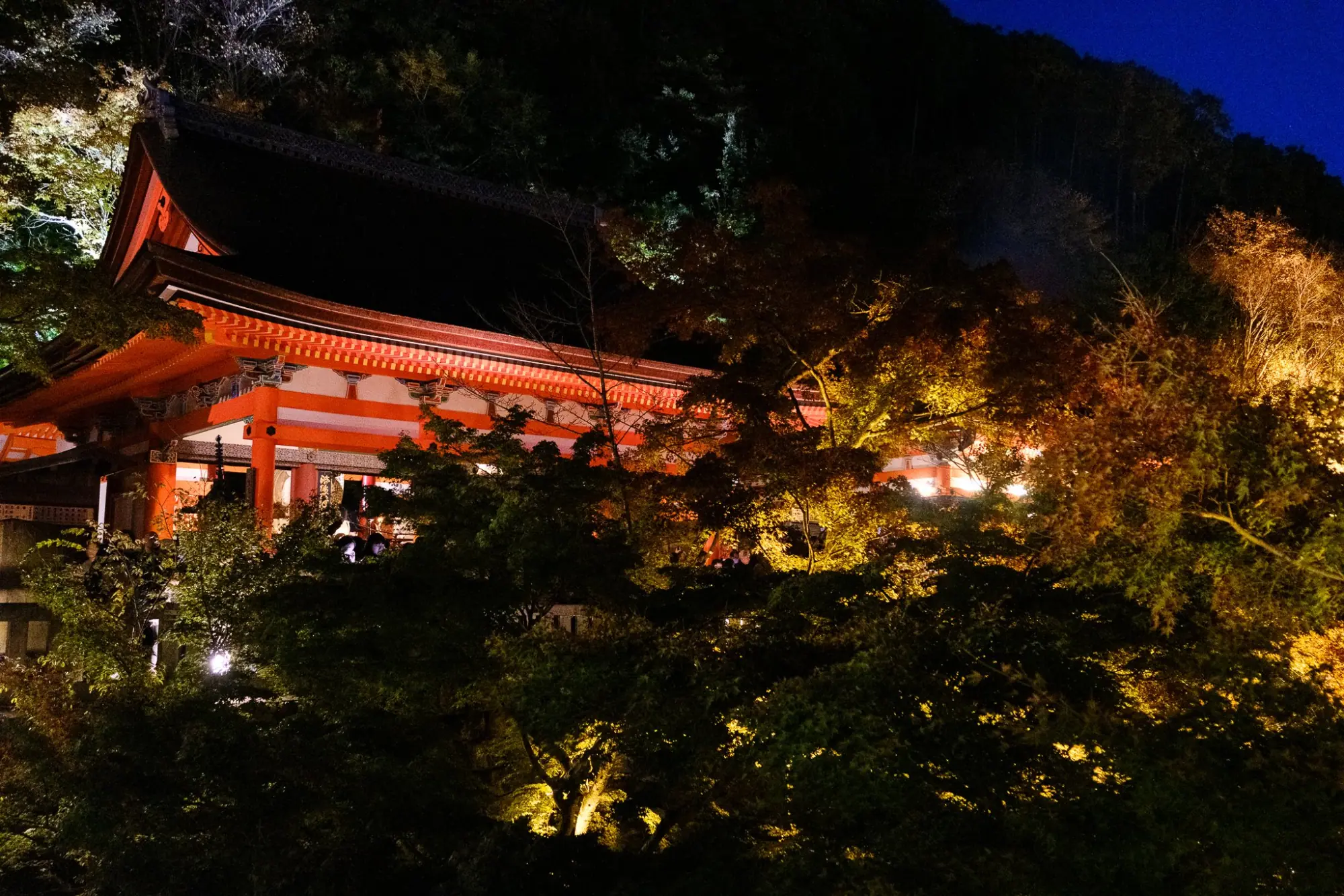 Photo from Kiyomizu-dera Temple Special Night Viewing, Kyoto, Japan