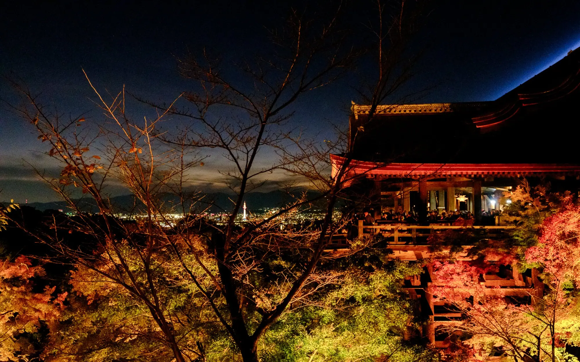 Photo from Kiyomizu-dera Temple Special Night Viewing, Kyoto, Japan