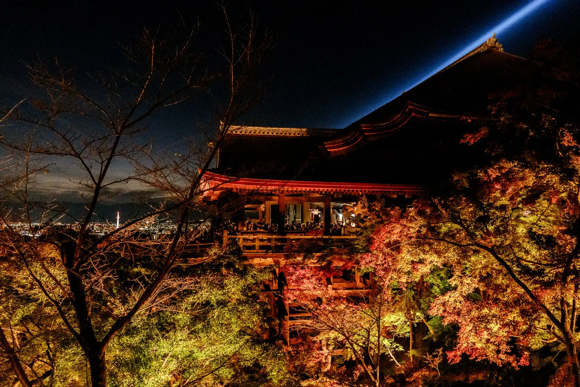 Photo from Kiyomizu-dera Temple Special Night Viewing, Kyoto, Japan