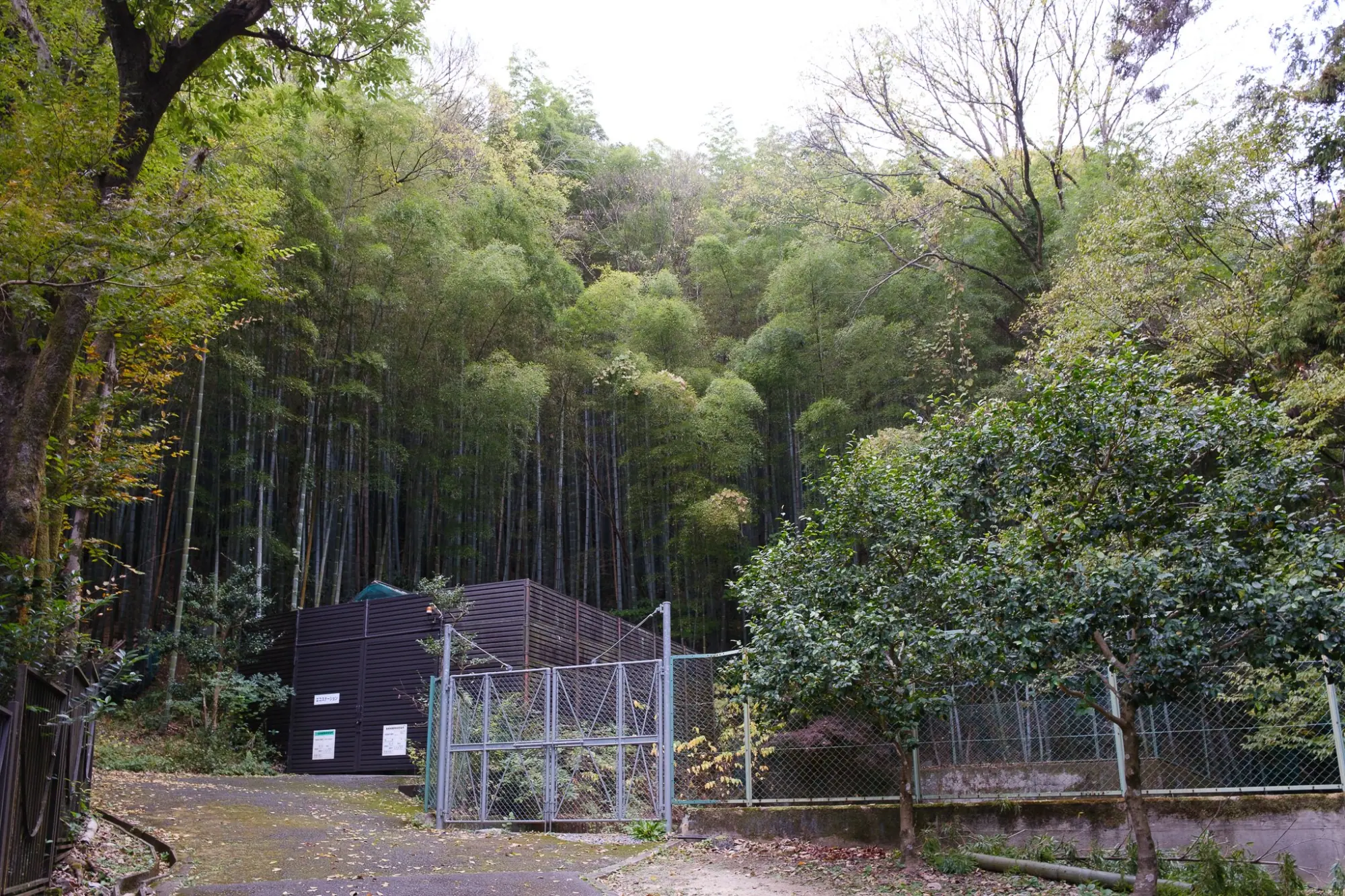 Photo from Yamazaki Distillery Tour, Kyoto, Japan