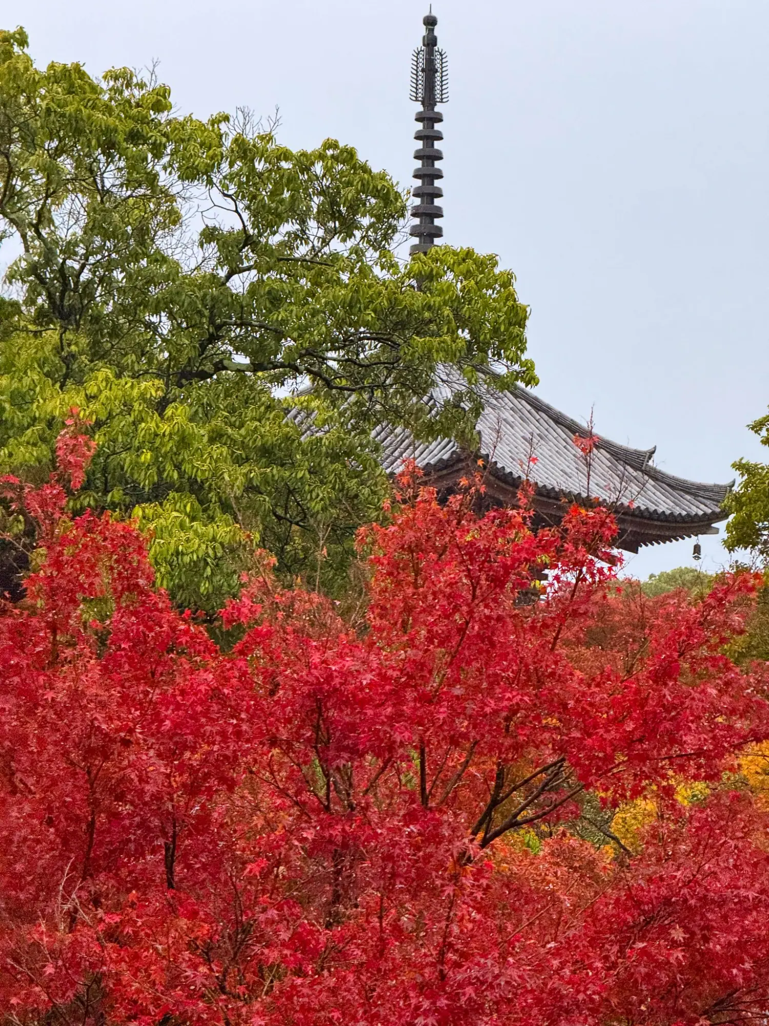 Photo from Andrew Wyeth Exhibit at Asahi Beer Ōyamazaki Villa Museum of Art, Kyoto, Japan