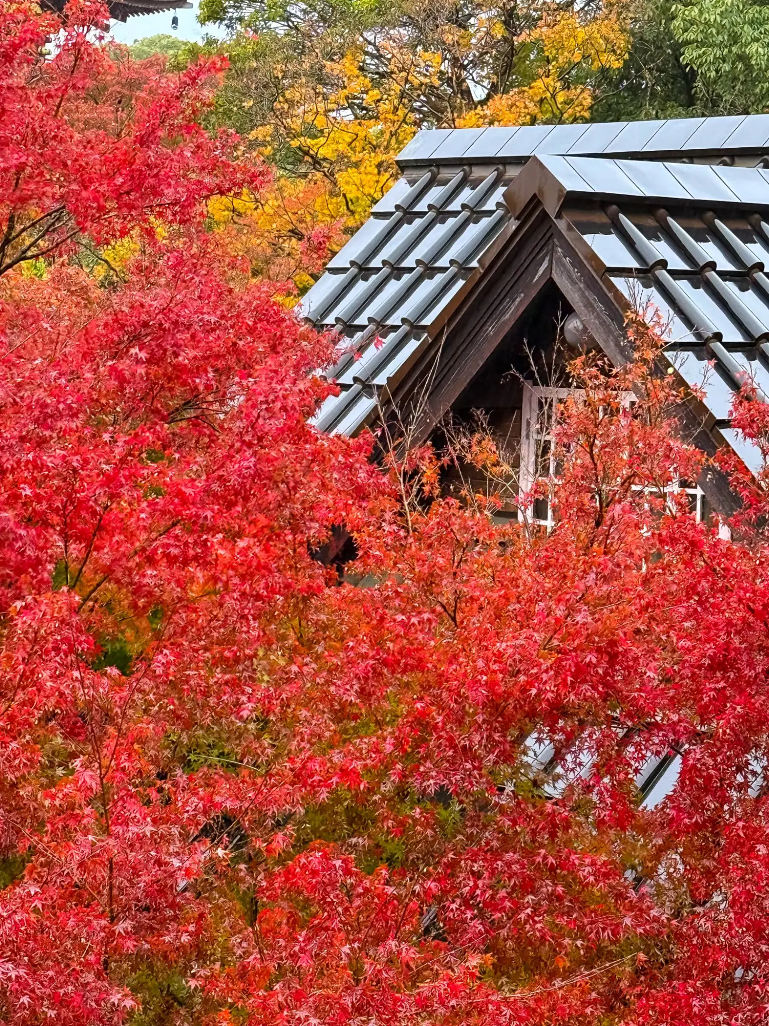 Photo from Andrew Wyeth Exhibit at Asahi Beer Ōyamazaki Villa Museum of Art, Kyoto, Japan