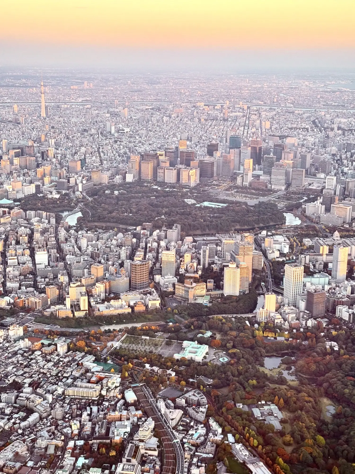 Photo from Day 14: Saying Goodbye to Japan, Kyoto, Japan