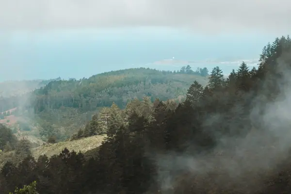 Morning fog drifting over green hills toward the sea