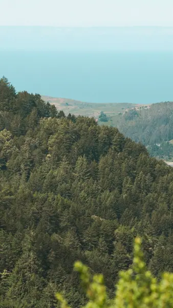 Forested slopes dropping toward the coast and the blue Pacific
