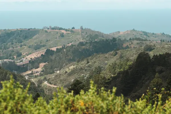 Green hills rolling down to the ocean