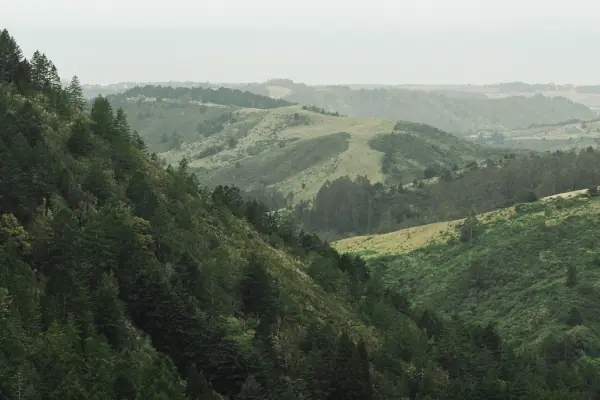 Forested ridges folding toward the hazy coast