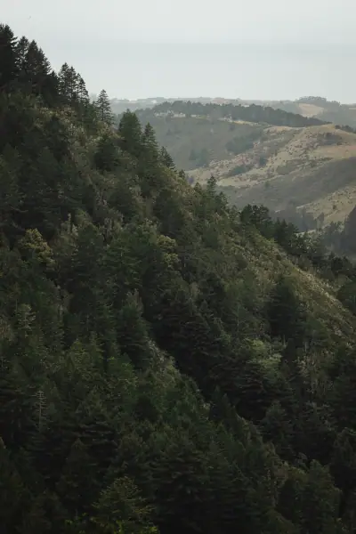 A dark forested ridge falling into the valley