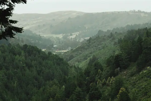 Wooded hills under a grey sky