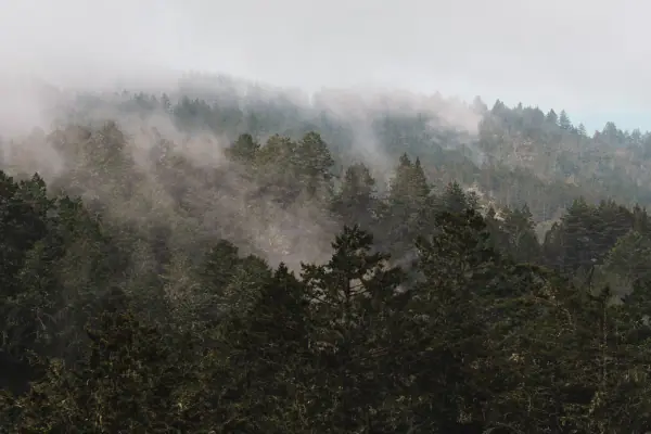 Fog pouring over a wooded ridge