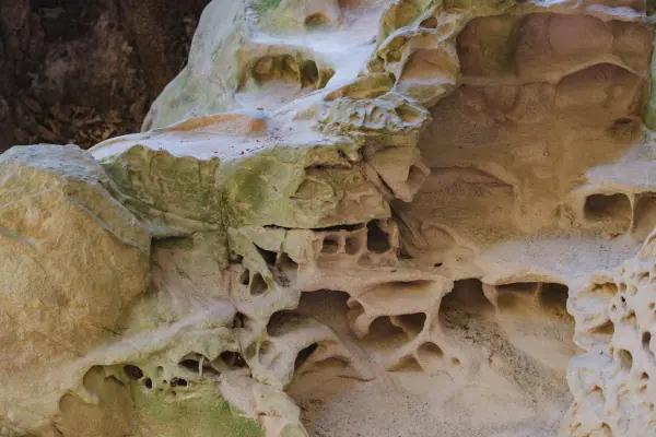 Layers of honeycomb hollows in the boulder