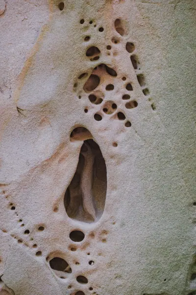 An oval hollow among small holes in pale sandstone