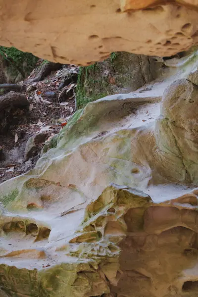 An overhang of carved sandstone