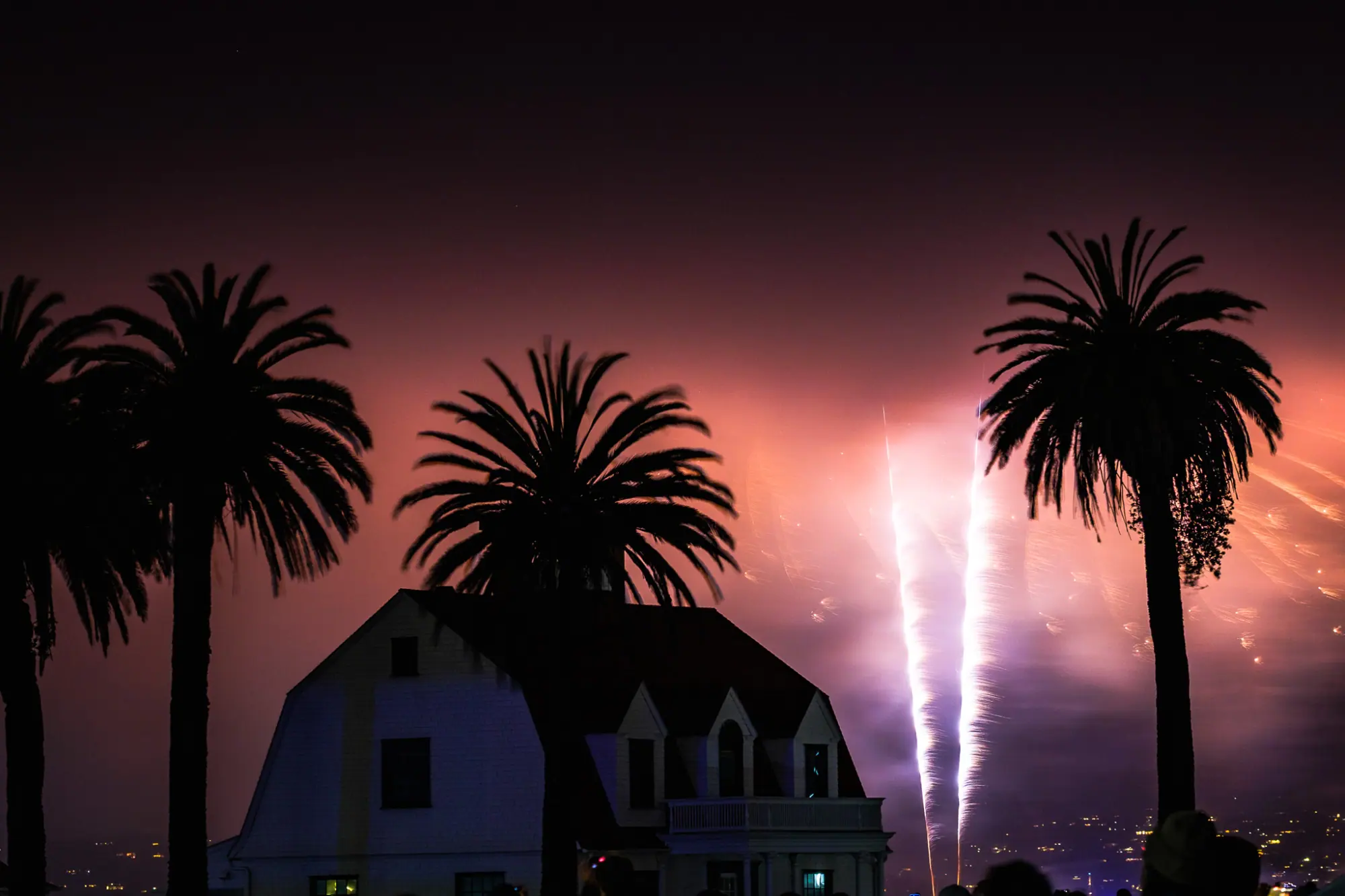 Palm trees and a Presidio house silhouetted against fireworks glowing pink in the fog