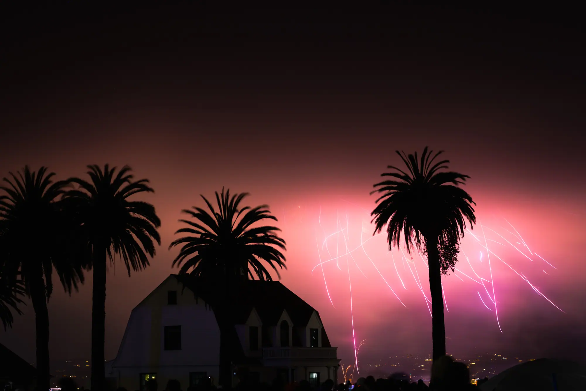 Pink light spreading through the fog behind the palms