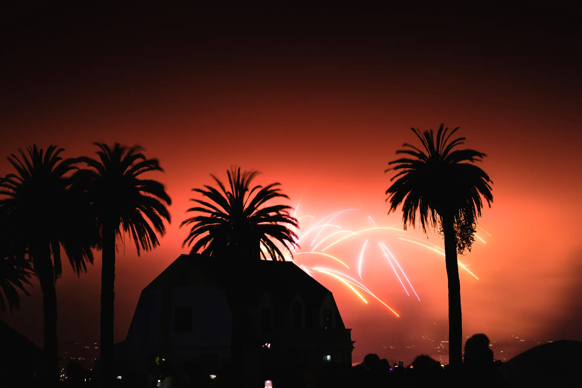 The fog glowing orange behind palm silhouettes