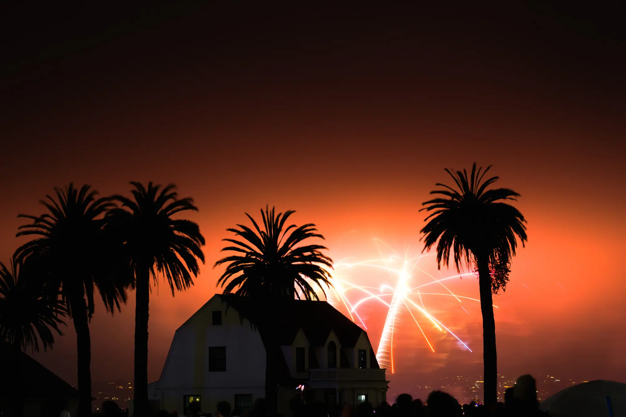An orange burst lighting the fog behind the palms