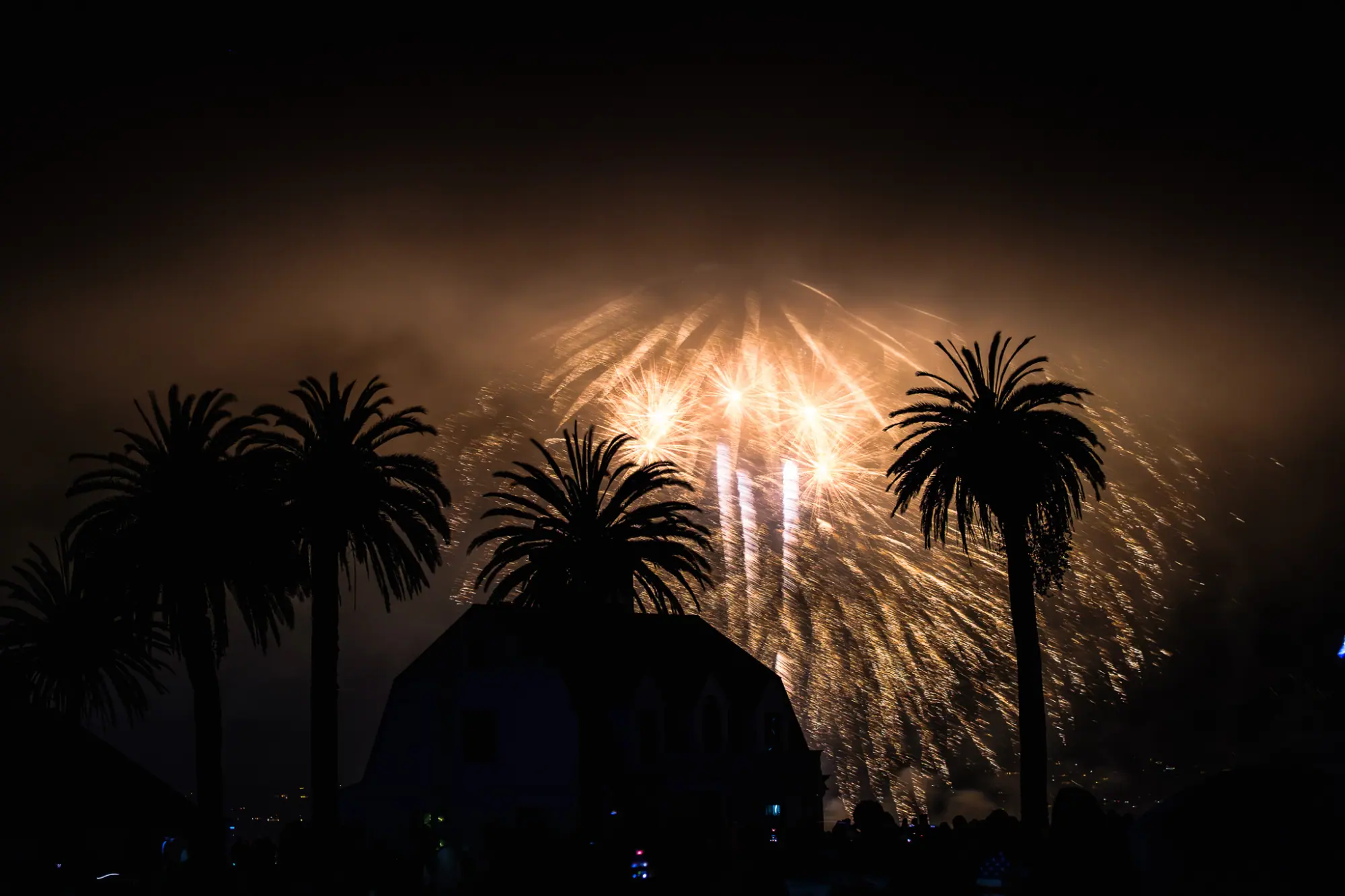 Gold fireworks blurred by fog behind the palms