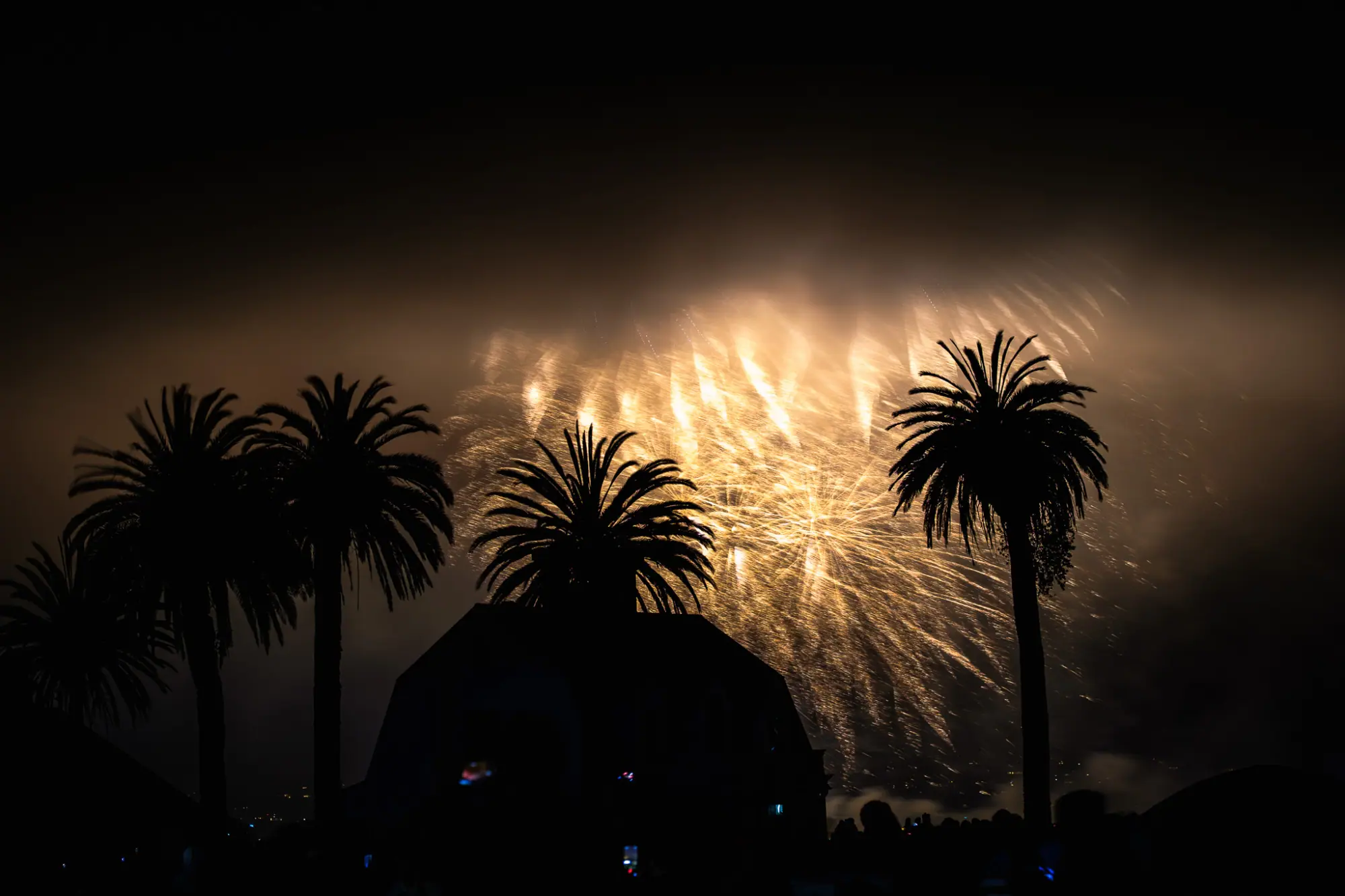 Gold sparks glowing through the fog over the palms