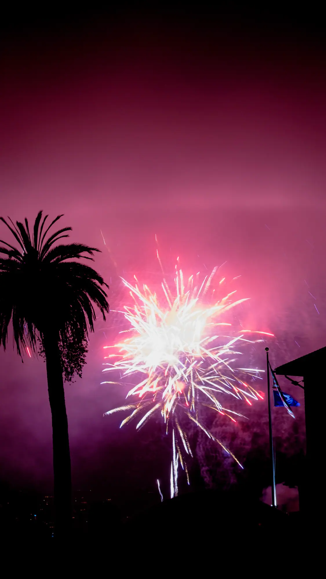 A pink burst behind a palm and a flag