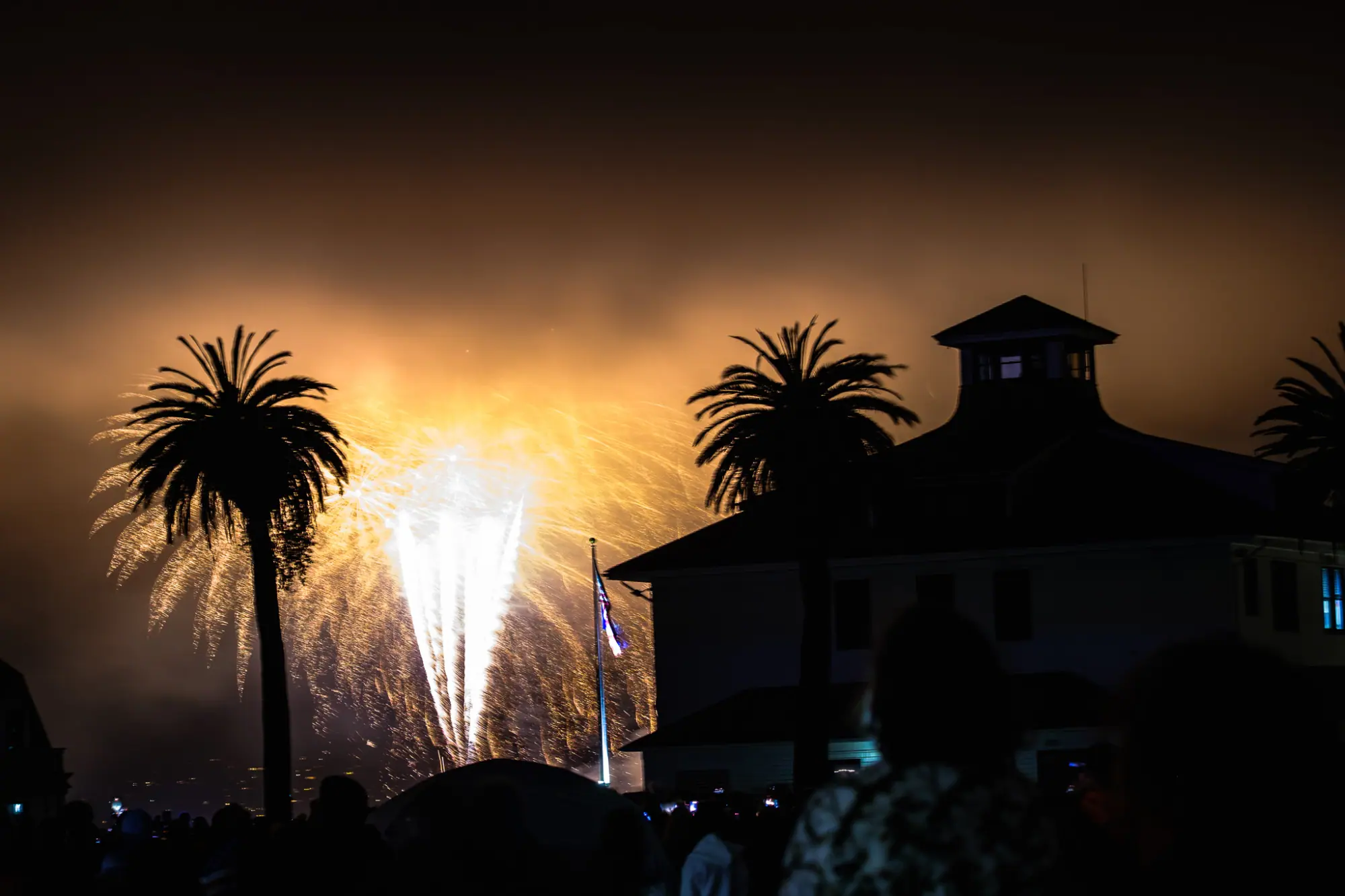 Gold fireworks rising behind palms and a cupola