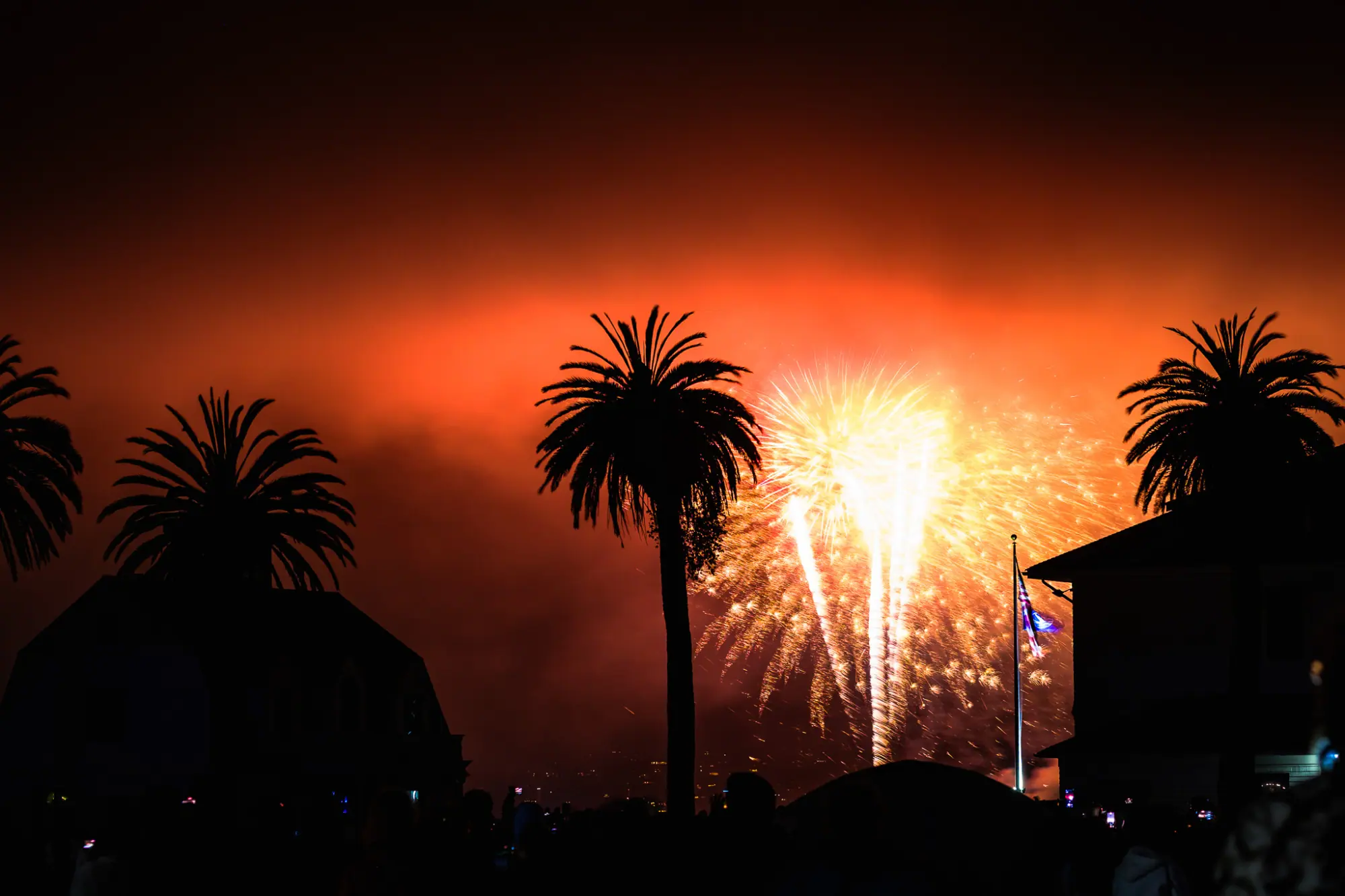 Fireworks bursting in the orange fog behind the palms