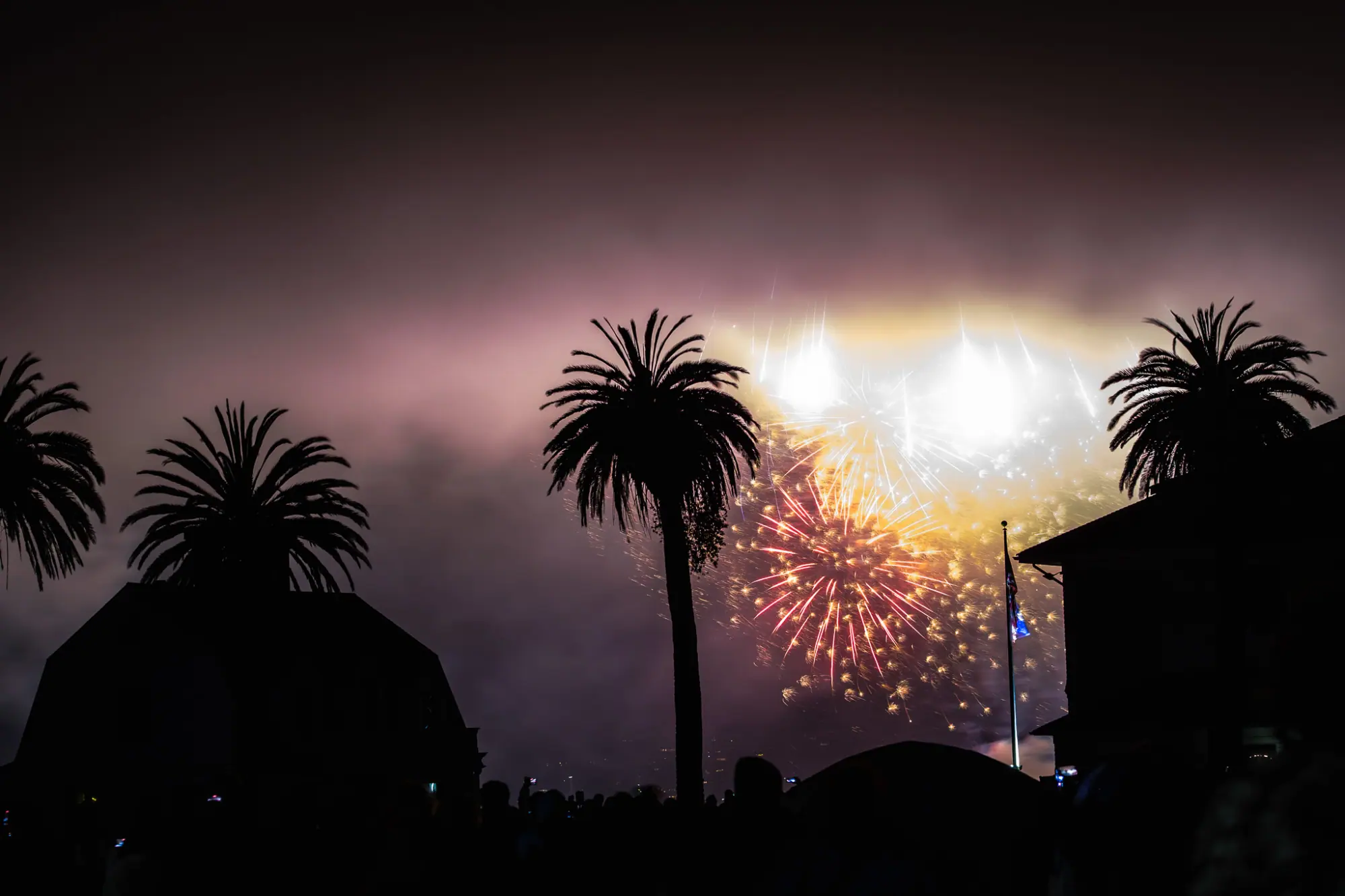White and red bursts in the fog behind the palms