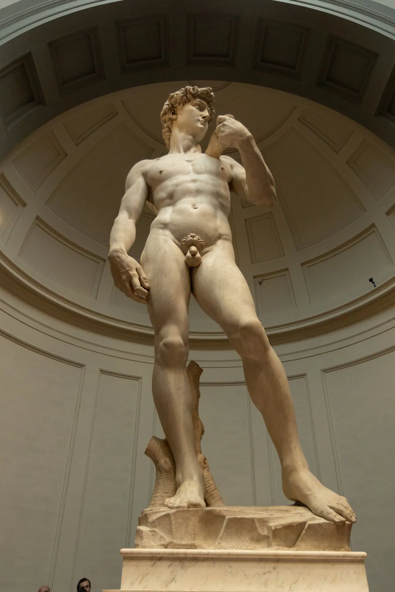 Photo from Day 2 — Art That Stops You in Your Tracks, Florence, Italy