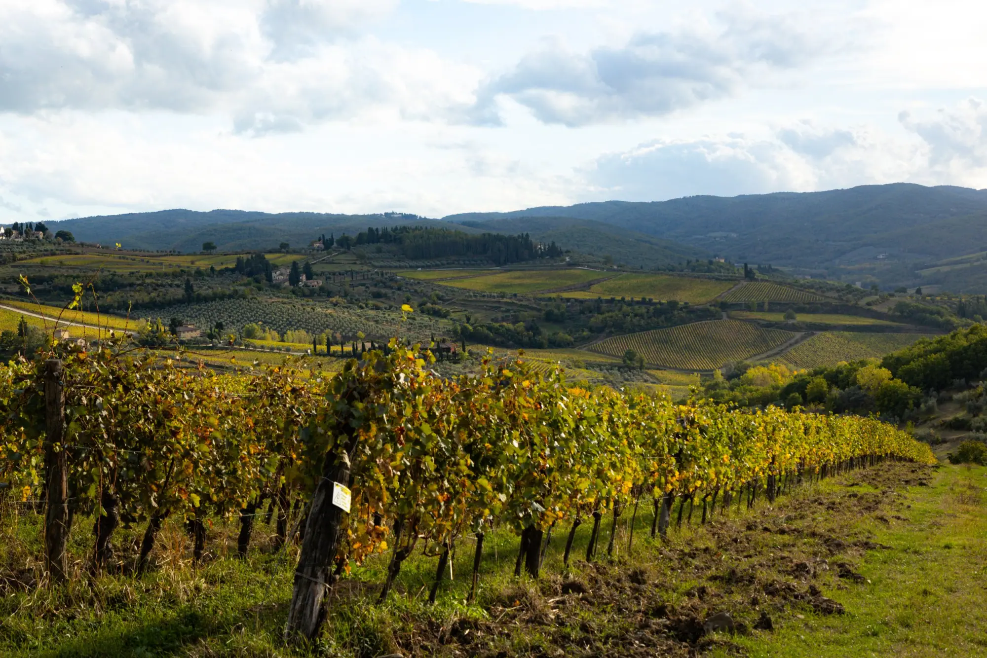 Photo from Day 3 — Tuscany, Olive Oil, and a Long Italian Dinner, Florence, Italy