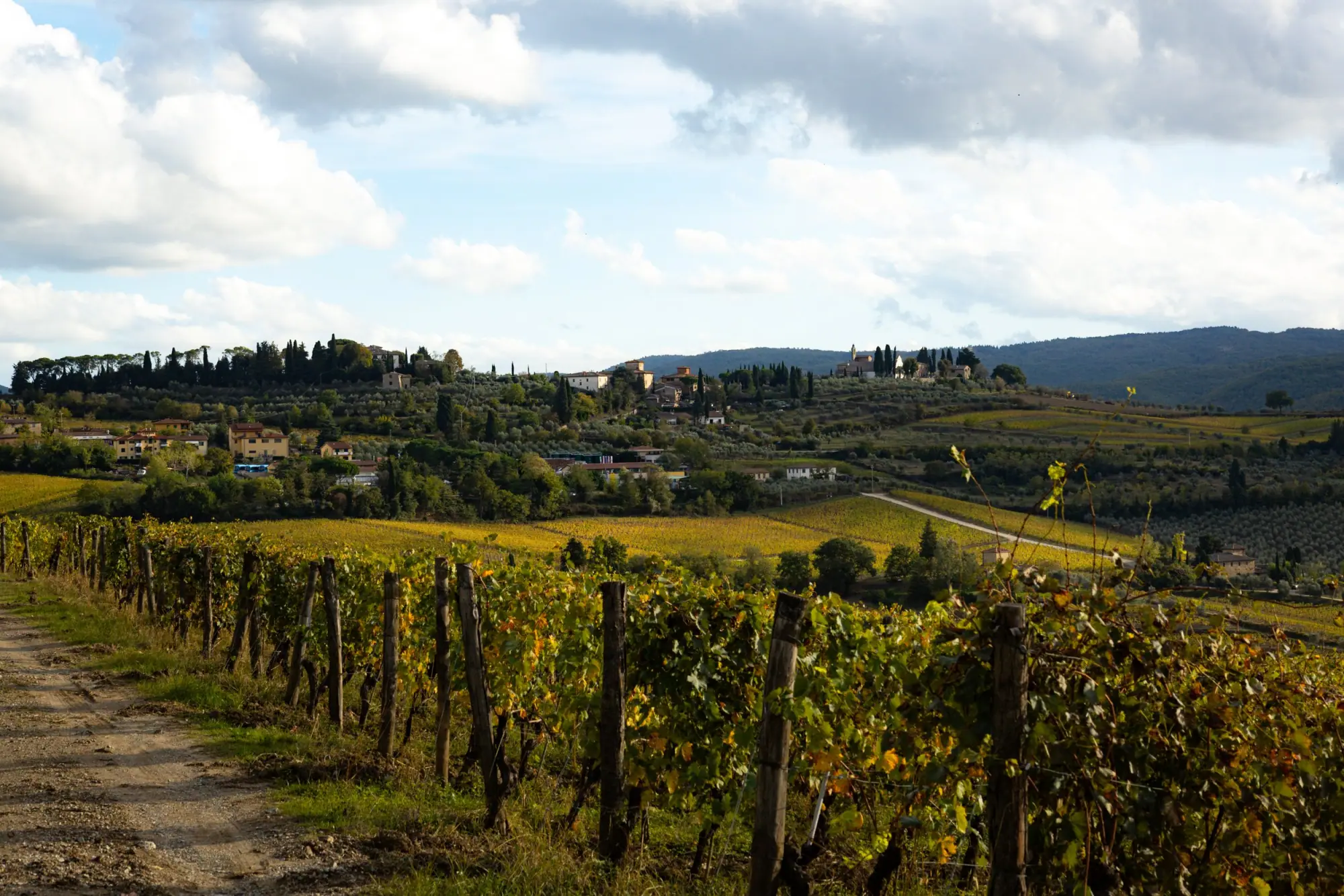 Photo from Day 3 — Tuscany, Olive Oil, and a Long Italian Dinner, Florence, Italy