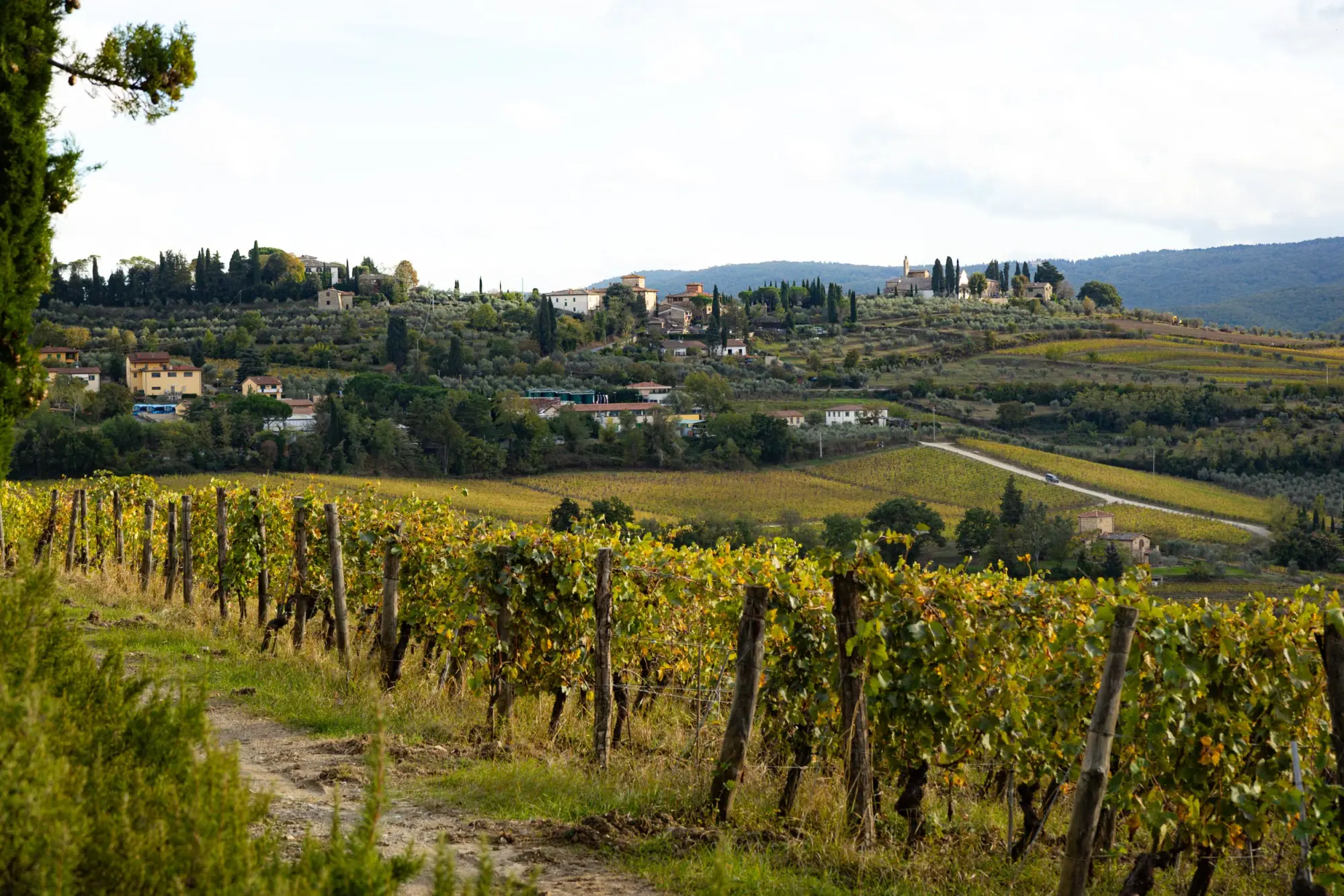 Photo from Day 3 — Tuscany, Olive Oil, and a Long Italian Dinner, Florence, Italy