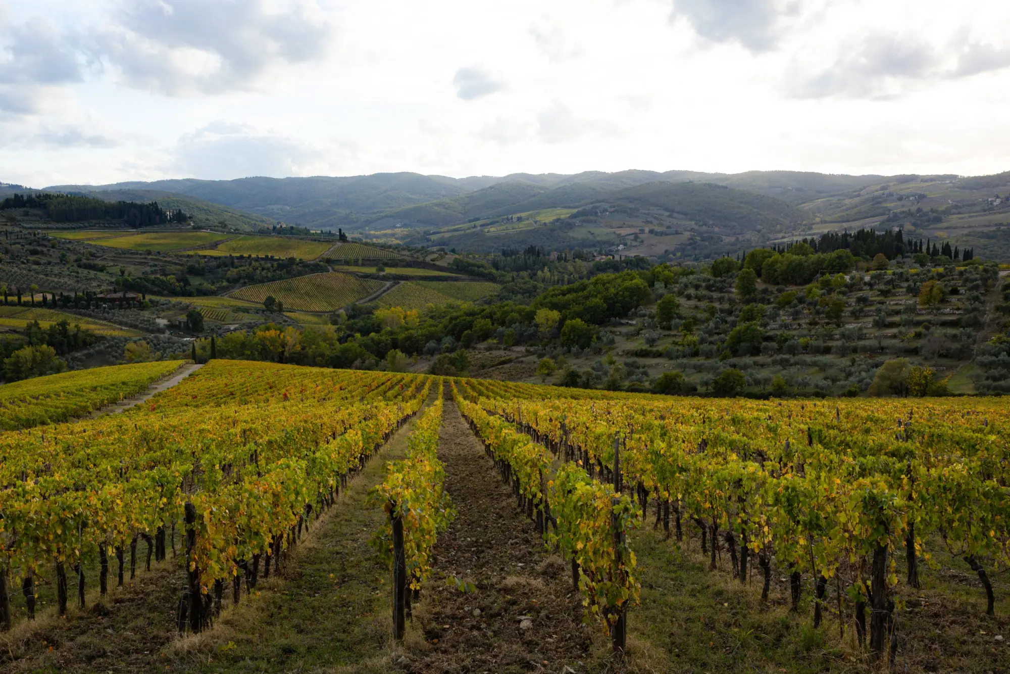 Photo from Day 3 — Tuscany, Olive Oil, and a Long Italian Dinner, Florence, Italy