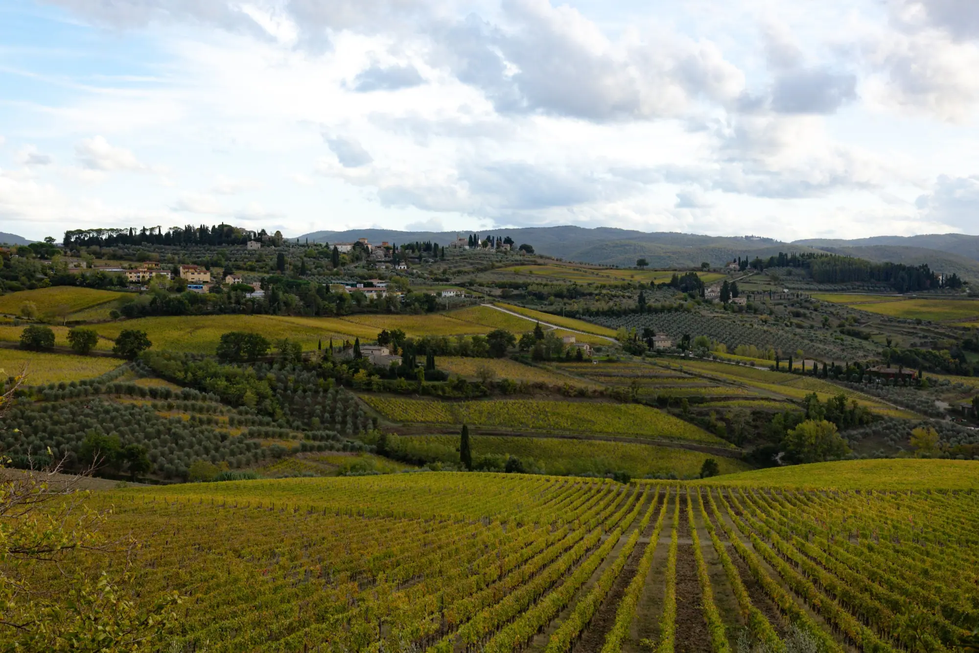 Photo from Day 3 — Tuscany, Olive Oil, and a Long Italian Dinner, Florence, Italy