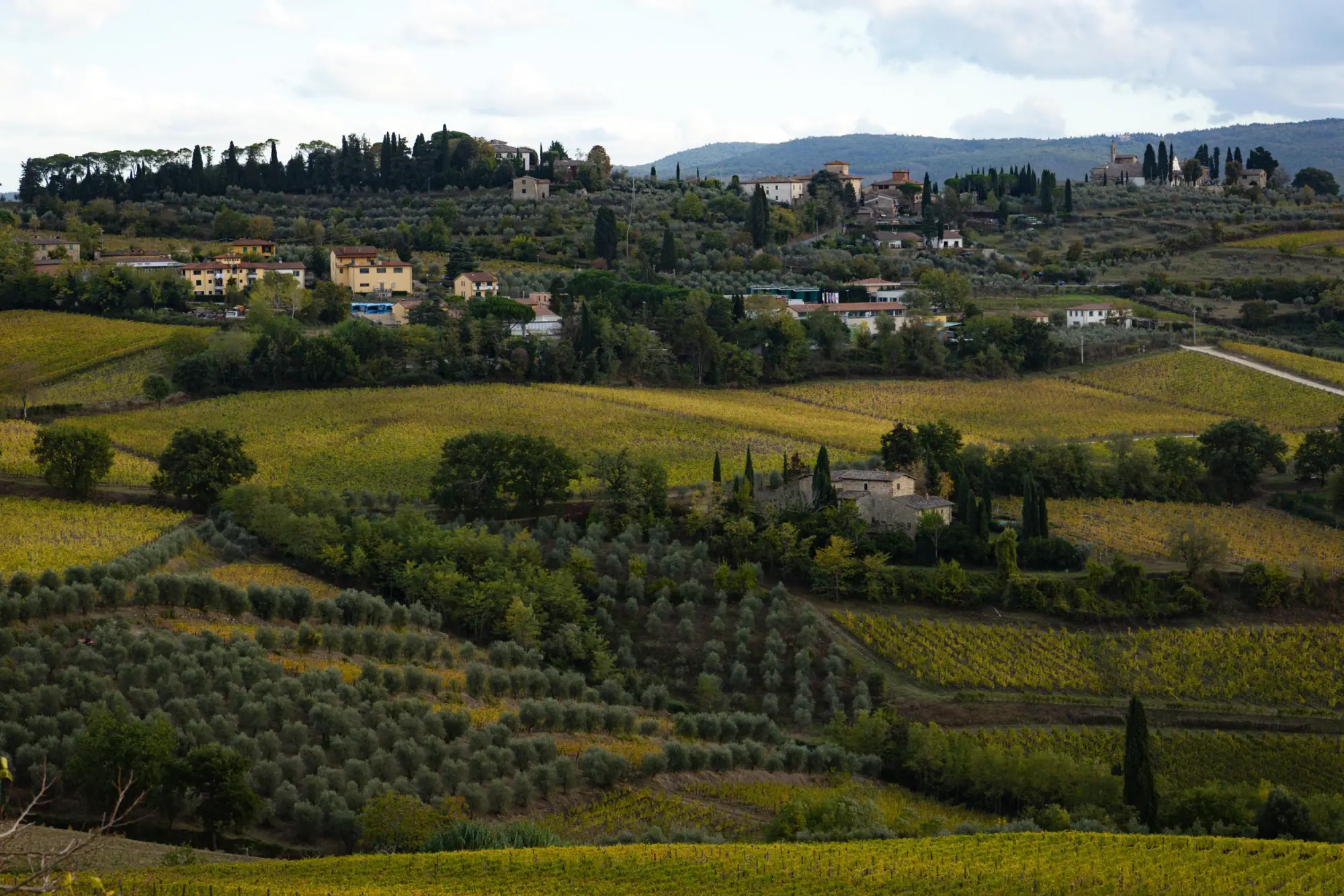 Photo from Day 3 — Tuscany, Olive Oil, and a Long Italian Dinner, Florence, Italy