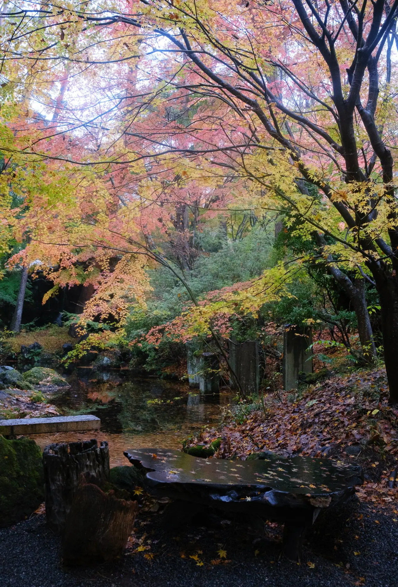 Photo from Kubota Itchiku Art Museum – A Glimpse into Art and Nature, Lake Kawaguchi, Japan