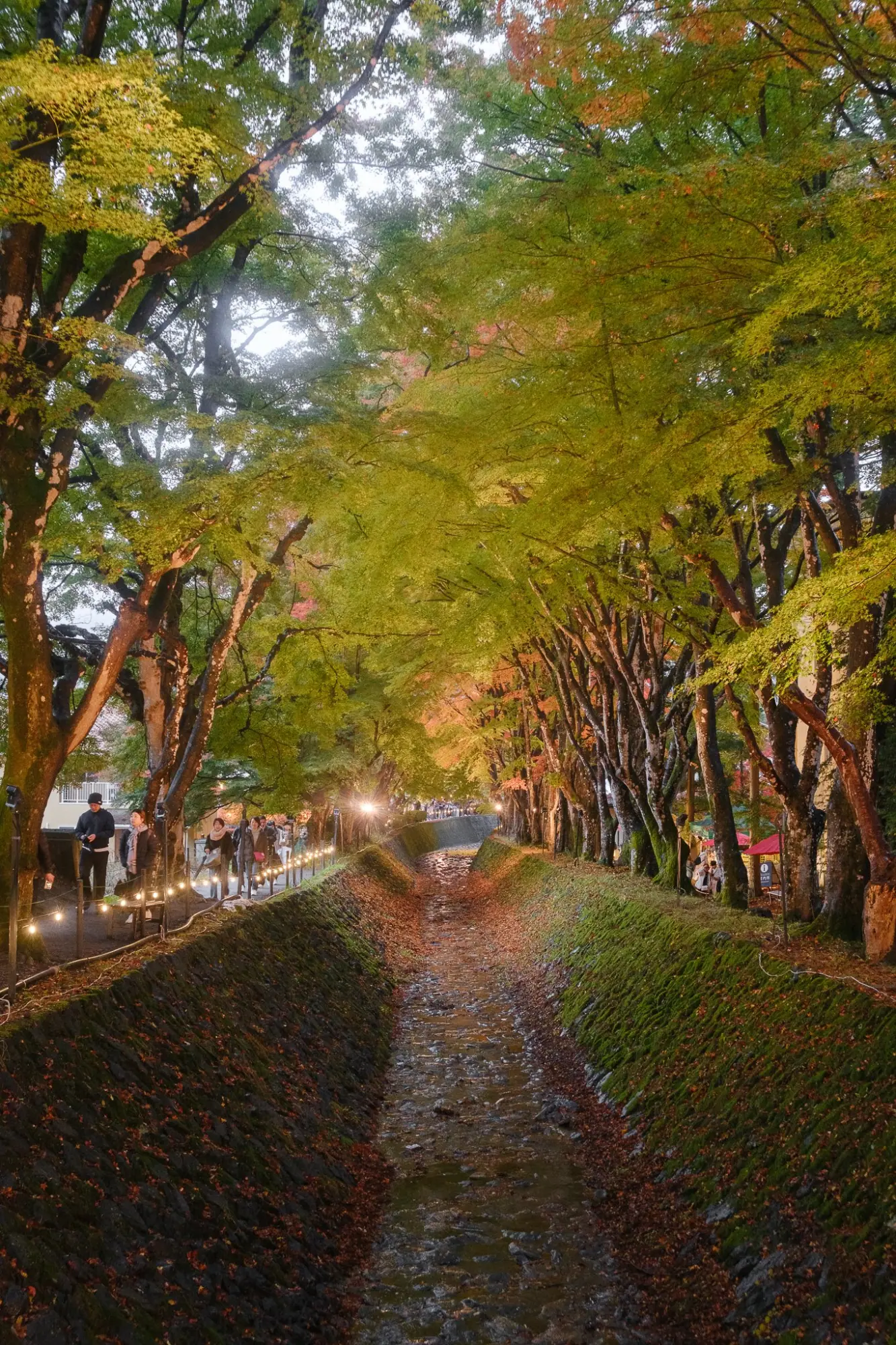 Photo from Fuji-Kawaguchiko Fall Leaves Festival, Lake Kawaguchi, Japan