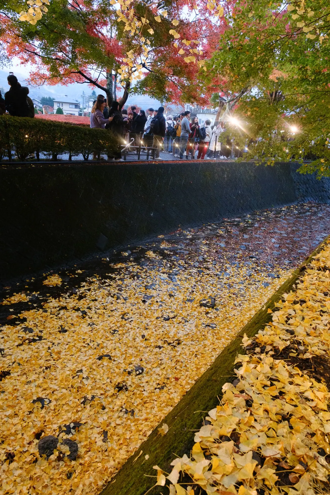 Photo from Fuji-Kawaguchiko Fall Leaves Festival, Lake Kawaguchi, Japan