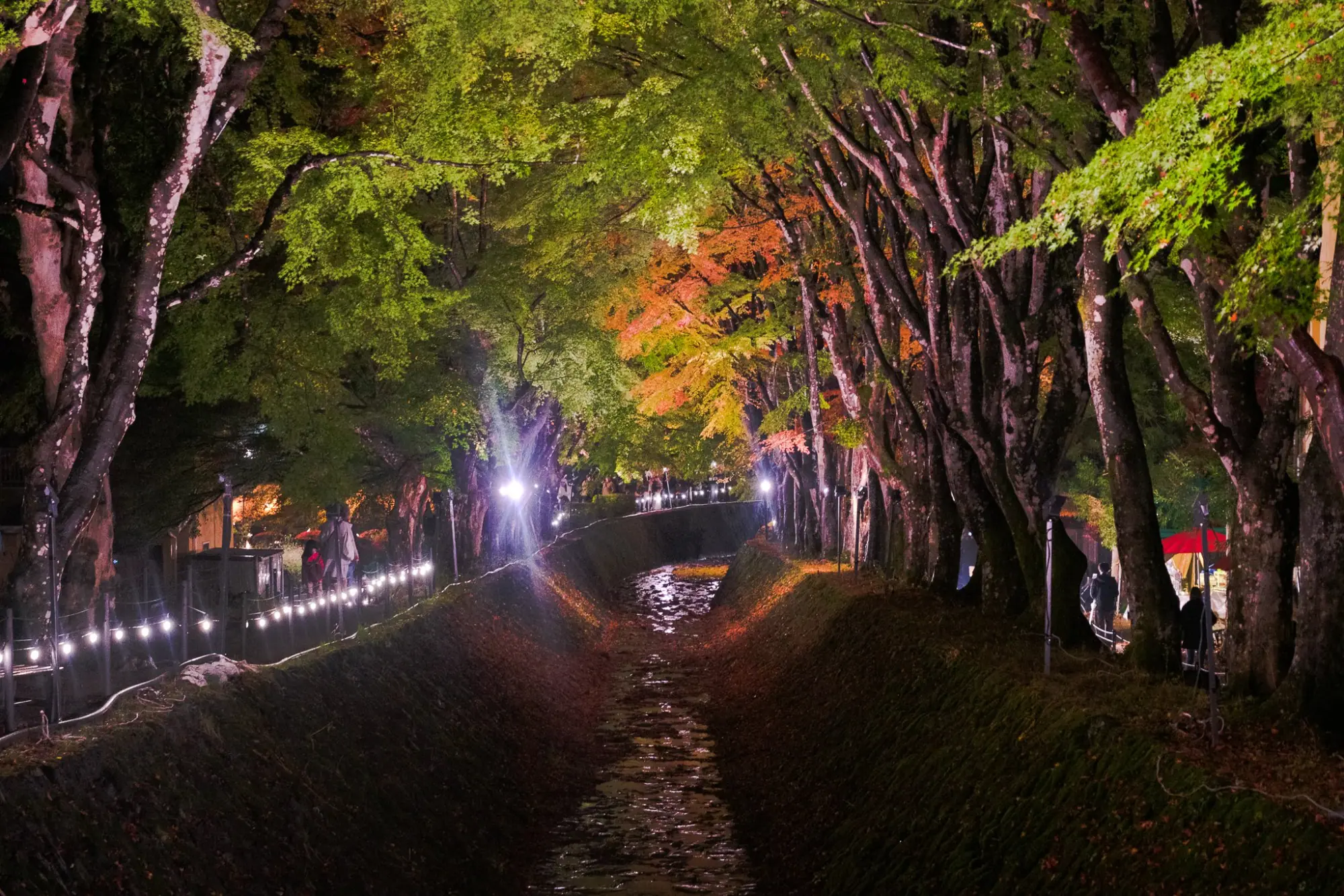 Photo from Fuji-Kawaguchiko Fall Leaves Festival, Lake Kawaguchi, Japan