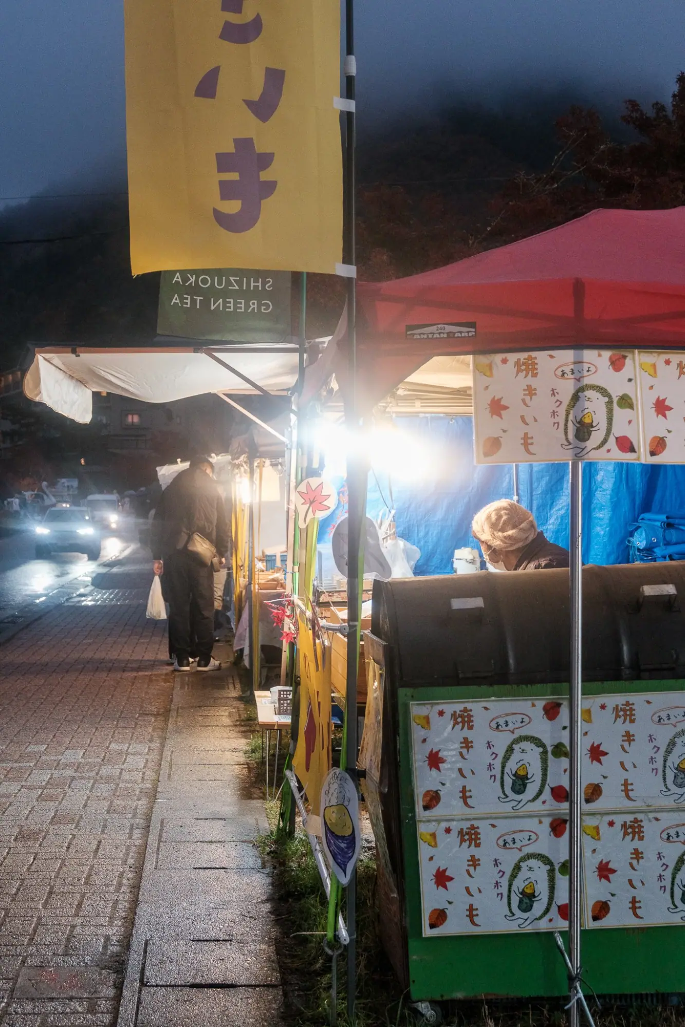 Photo from Fuji-Kawaguchiko Fall Leaves Festival, Lake Kawaguchi, Japan