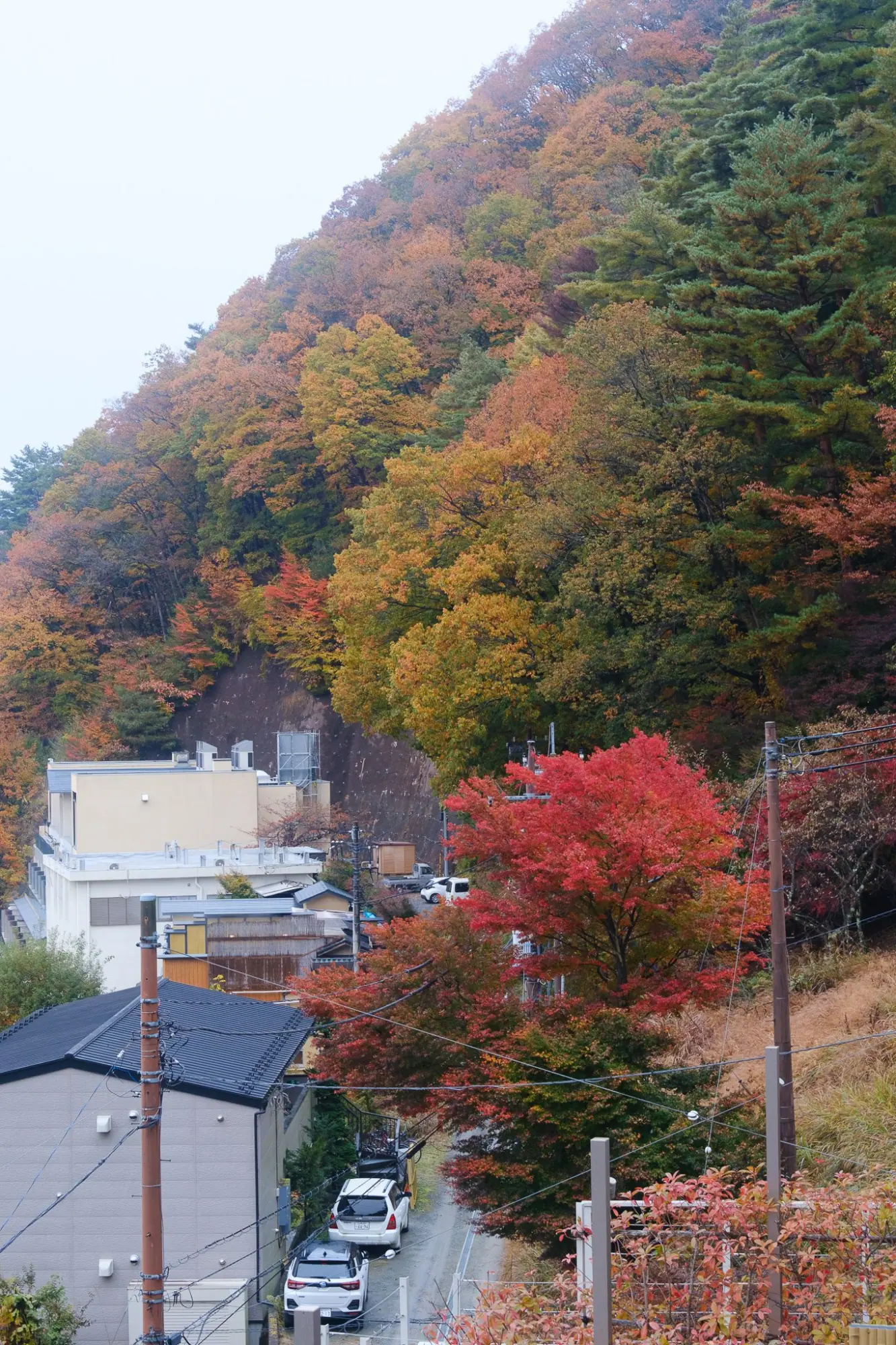 Photo from Partial Views of Mount Fuji, Lake Kawaguchi, Japan