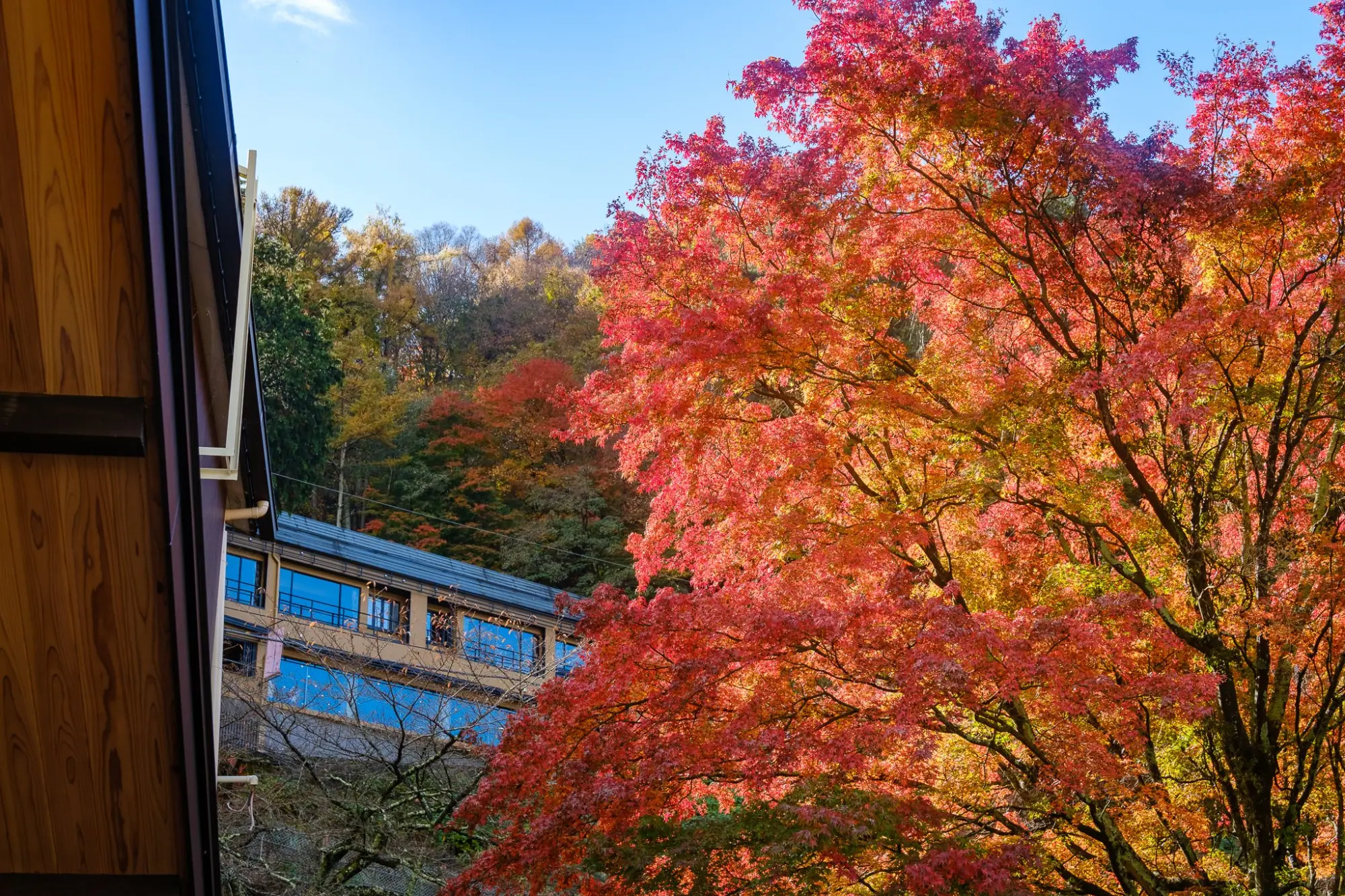 Photo from Mt. Fuji Panoramic Ropeway, Lake Kawaguchi, Japan