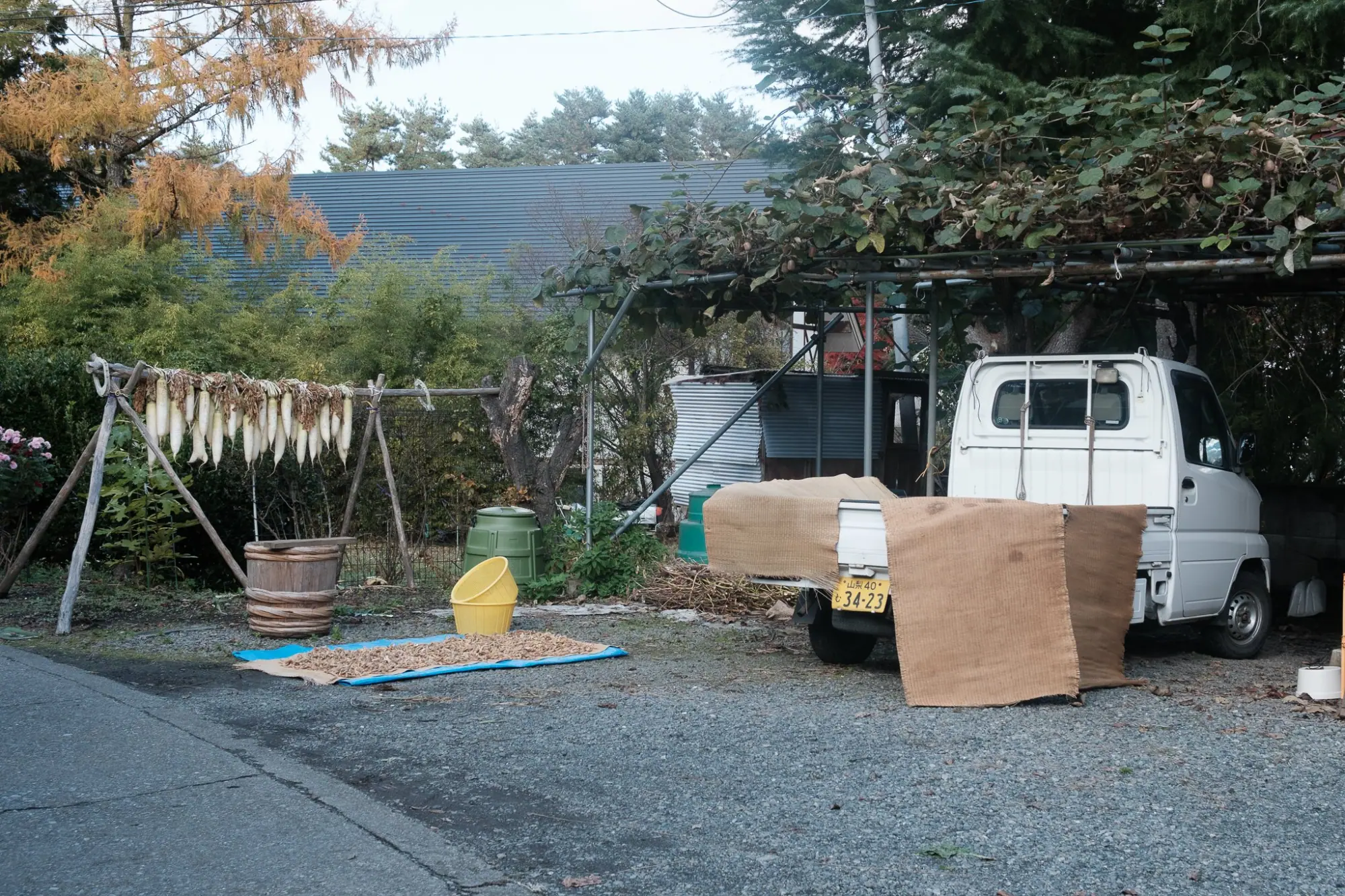 Photo from Strolling Through a Residential Neighborhood and Lunch at Renge Ramen, Lake Kawaguchi, Japan