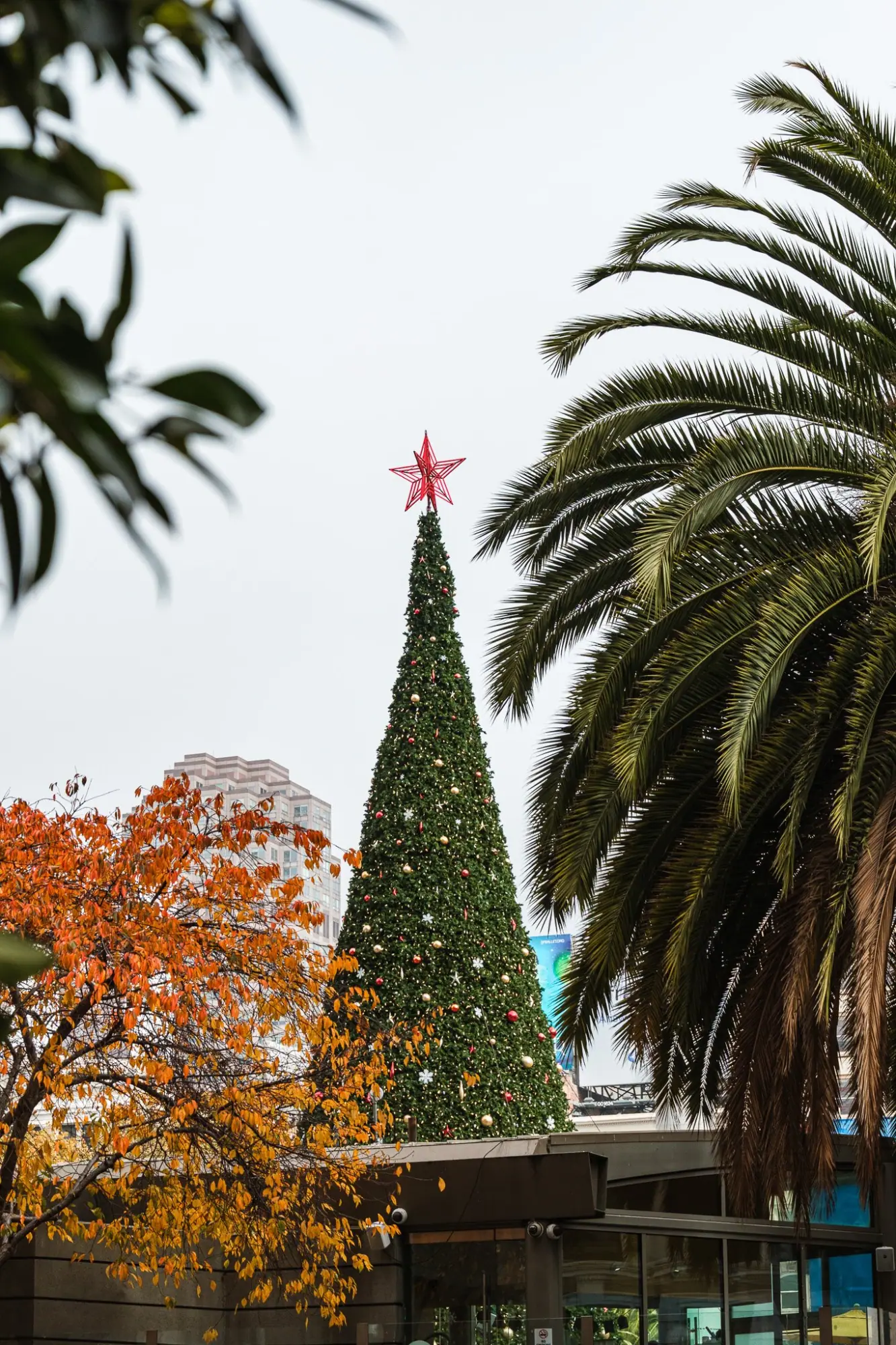 Photo from Next, we stopped by one of our favorite holiday sights every year — the Westin St, San Francisco, CA
