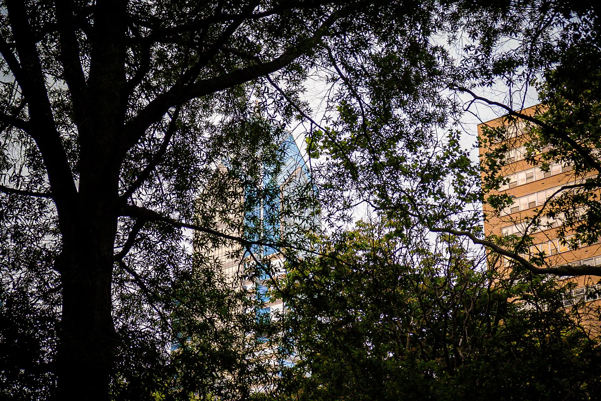 Photo from Rittenhouse Square and Parc Restaurant: Escape the bustling city streets and find tranquility at…, Philadelphia, PA