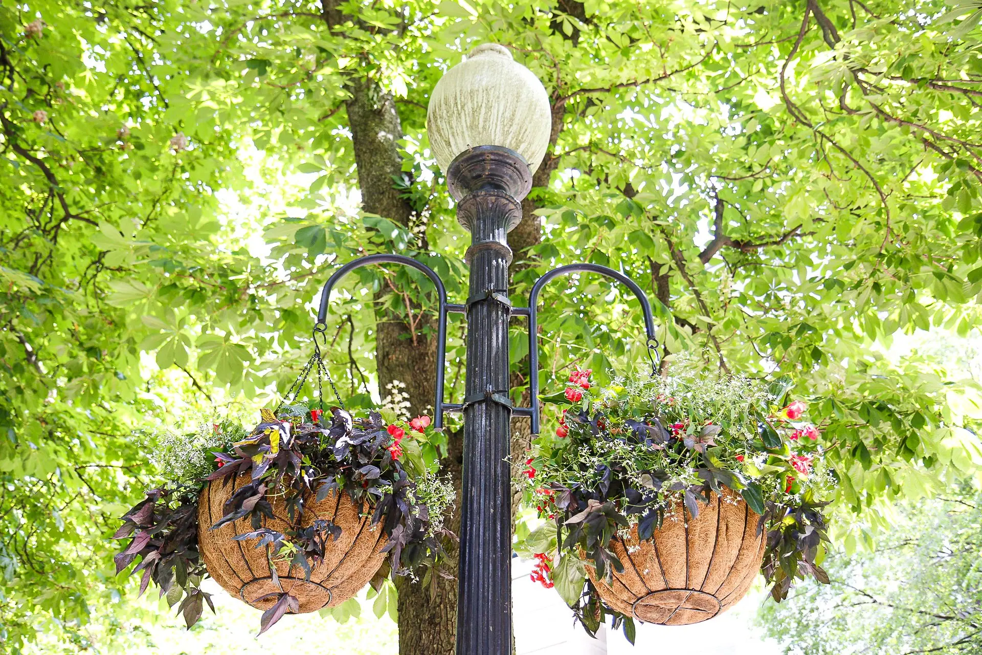 Photo from Rittenhouse Square and Parc Restaurant: Escape the bustling city streets and find tranquility at…, Philadelphia, PA