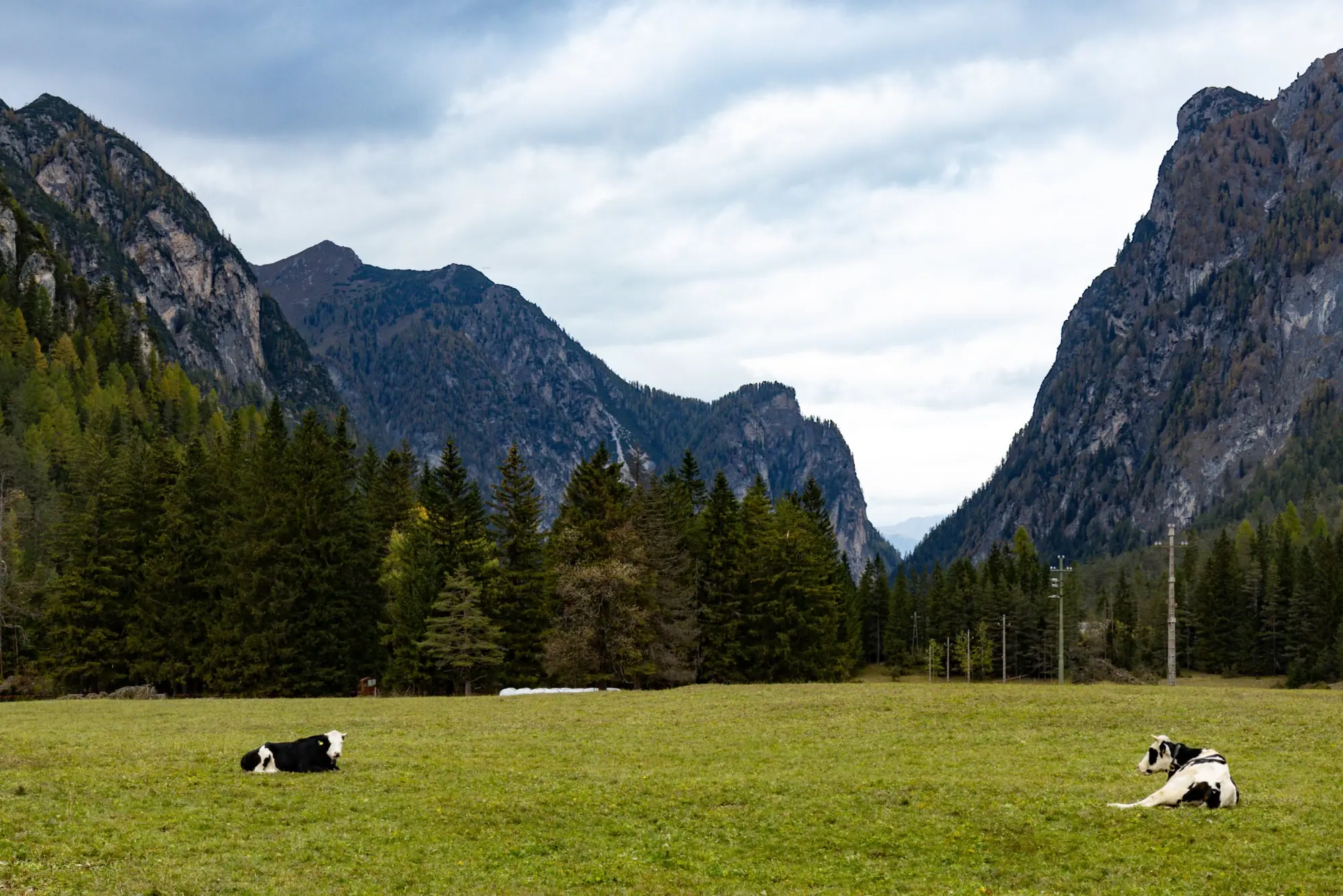 Photo from Day 3 — Lakes, Loops & Passes, The Dolomites, Italy